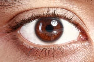 Retina Care and Retinal Disease Information