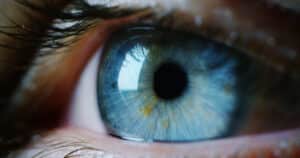 closeup image of the anatomy of an eye