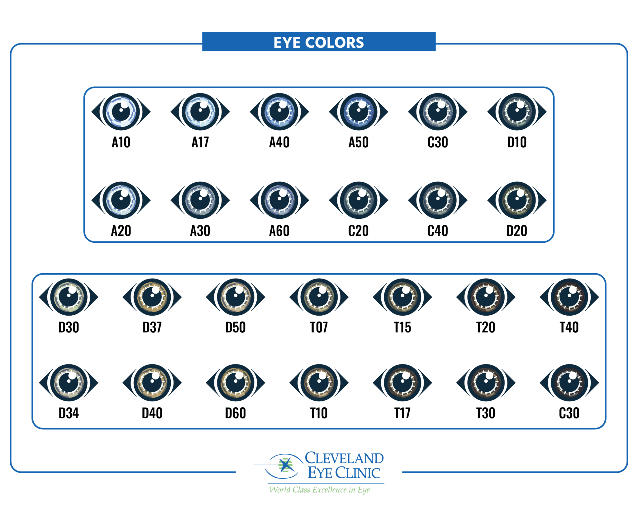 Nj Eye Color Code What Is The Rarest Eye Color? | Eye Color Chart